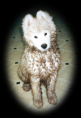 cirrus says: 'mud? what mud?'