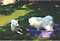 cirrus says: ' come and get me, old man!'