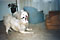 mazzy and cirrus