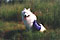 mazzy