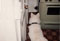 laika\'s first cat, fudge