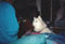 elyse has something laika wants
