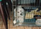 aren't you going to let me out?