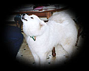 Visit Tess's page